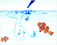 BioJapan2013で海水生物による生態影響試験サービスを紹介