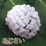 幸野屋の生和菓子（あじさい）