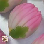 幸野屋の生和菓子（菊）