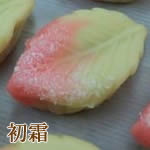 幸野屋の生和菓子（初霜）