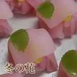 幸野屋の生和菓子（冬の花）