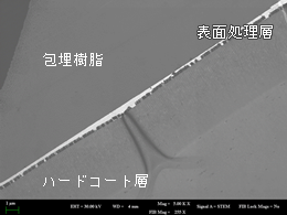STEM像(倍率：5千倍)