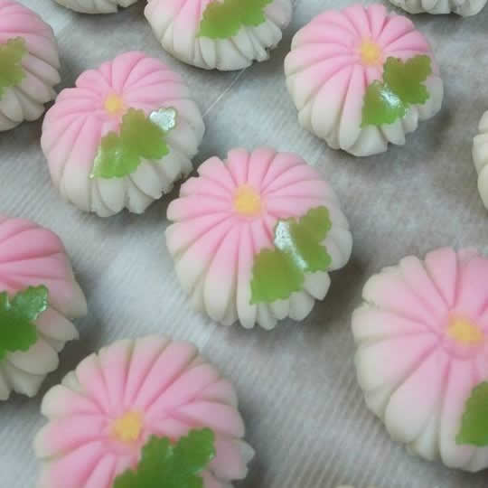 生和菓子（よわいぐさ）