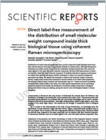 イメージ：Nature Publishing Groupの発行する科学誌Scientific Reports国際科学誌