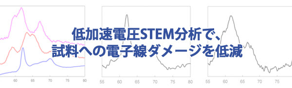 低加速電圧STEM分析で、試料への電子線ダメージを低減