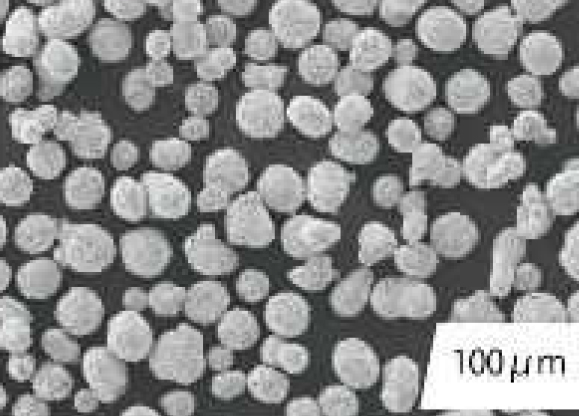 複合粉末100μm