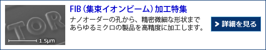 FIB（集束イオンビーム）加工特集