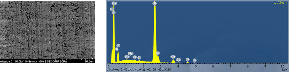 2. 異物部のSEM観察とEDX分析を行いました​​