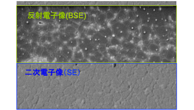 比較：反射電子像と二次電子像