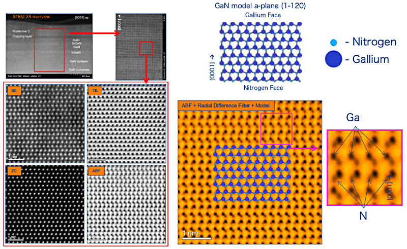 【事例】AC-STEMのABFを用いたGaN結晶の極性評価