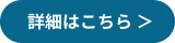 詳細を見る