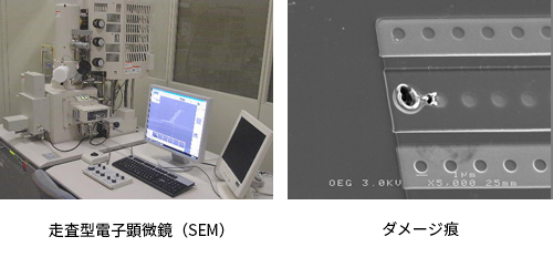 走査型電子顕微鏡観察（SEM）