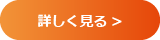 詳細を見る
