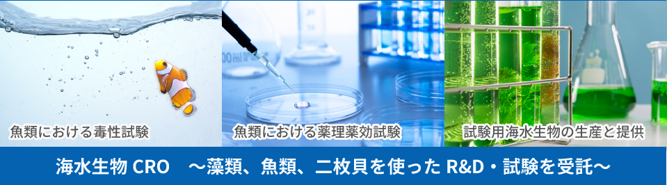 魚類・藻類を使用した評価試験/機能性原料の開発・製造/試験生物販売