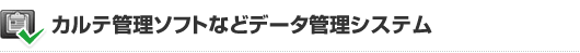 カルテ管理ソフトなどデータ管理システム