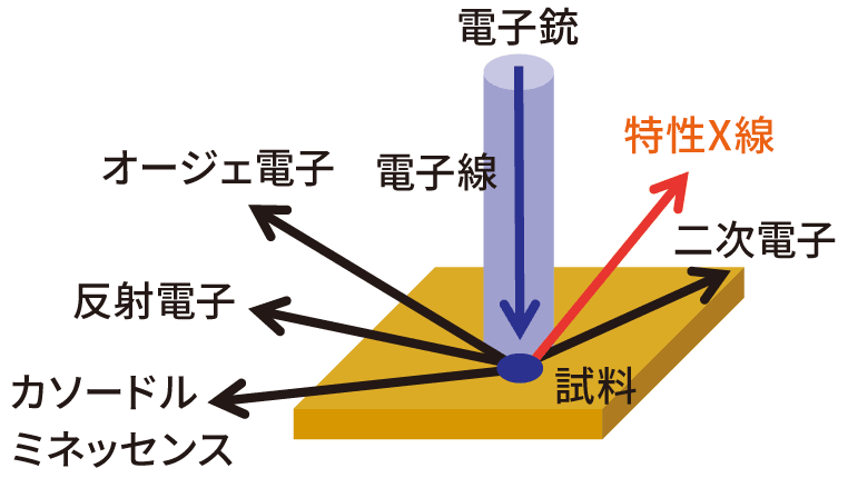 FE-EPMA WDX元素マッピング