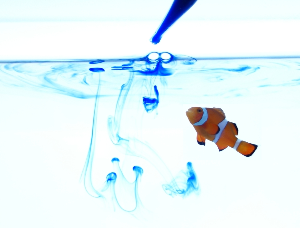 BioJapan2015に出展いたします